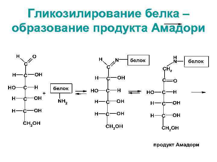 Гликозилирование белка – образование продукта Амадори 