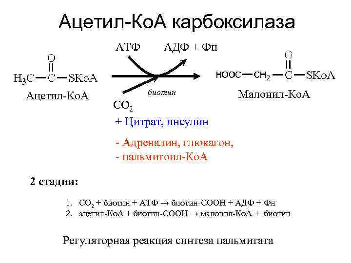 Ацетил-Ко. А карбоксилаза АТФ Ацетил-Ко. А АДФ + Фн биотин СО 2 + Цитрат,