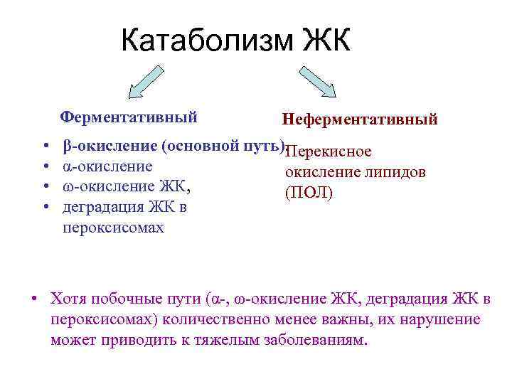 Катаболизм ЖК Ферментативный • • Неферментативный β-окисление (основной путь). Перекисное α-окисление липидов ω-окисление ЖК,