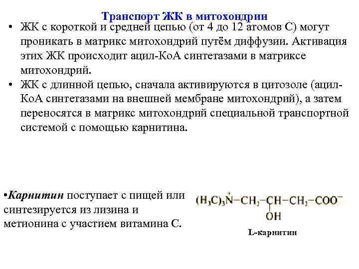Транспорт ЖК в митохондрии • ЖК с короткой и средней цепью (от 4 до