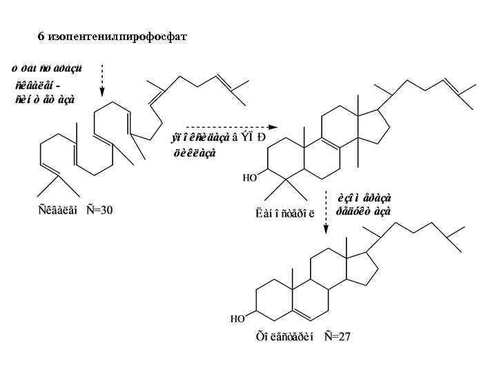 6 изопентенилпирофосфат 