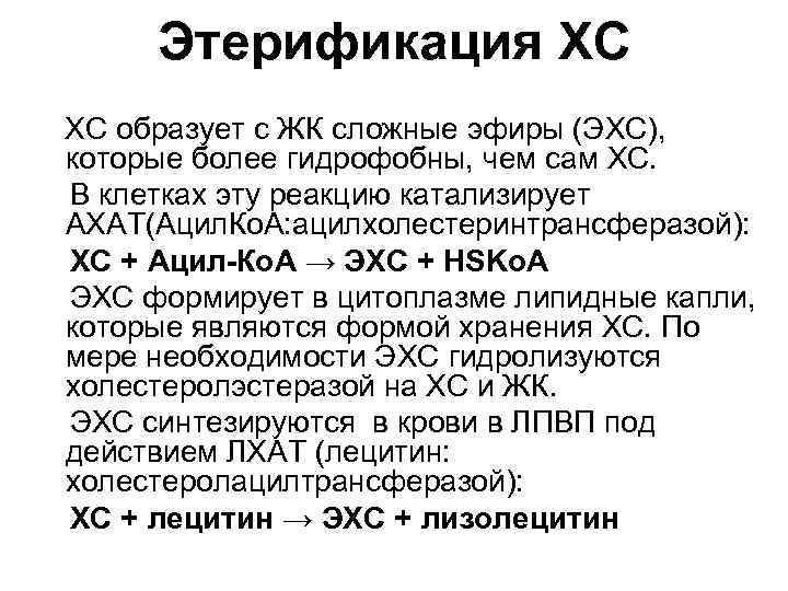 Этерификация ХС ХС образует с ЖК сложные эфиры (ЭХС), которые более гидрофобны, чем сам