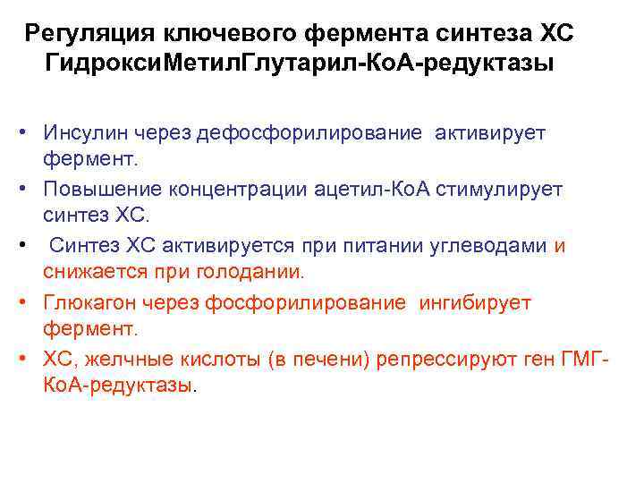Регуляция ключевого фермента синтеза ХС Гидрокси. Метил. Глутарил-Ко. А-редуктазы • Инсулин через дефосфорилирование активирует
