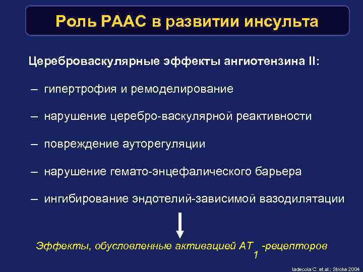 Роль РААС в развитии инсульта Цереброваскулярные эффекты ангиотензина II: – гипертрофия и ремоделирование –