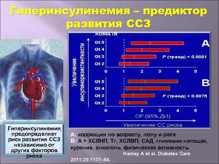 Гиперинсулинемия – предиктор развития ССЗ Гиперинсулинемия предопределяет риск развития CCЗ независимо от других факторов