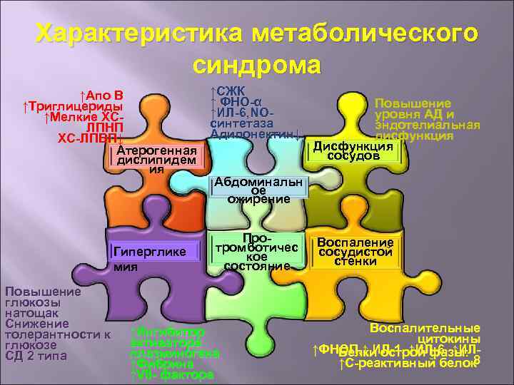 Характеристика метаболического синдрома ↑Апо В ↑Триглицериды ↑Мелкие ХС- ЛПНП ХС-ЛПВП↓ Атерогенная дислипидем ия Гиперглике