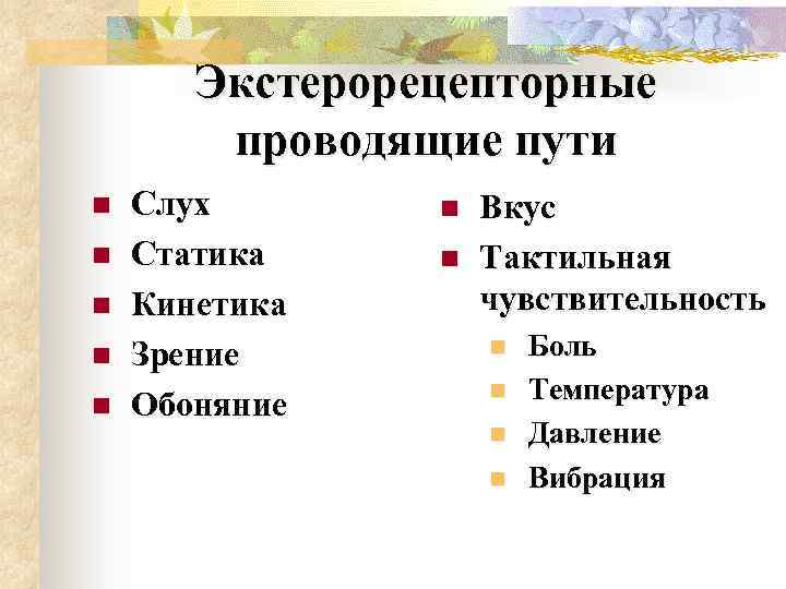 Экстерорецепторные проводящие пути n n n Слух Статика Кинетика Зрение Обоняние n n Вкус