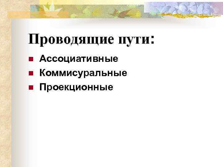 Проводящие пути: n n n Ассоциативные Коммисуральные Проекционные 