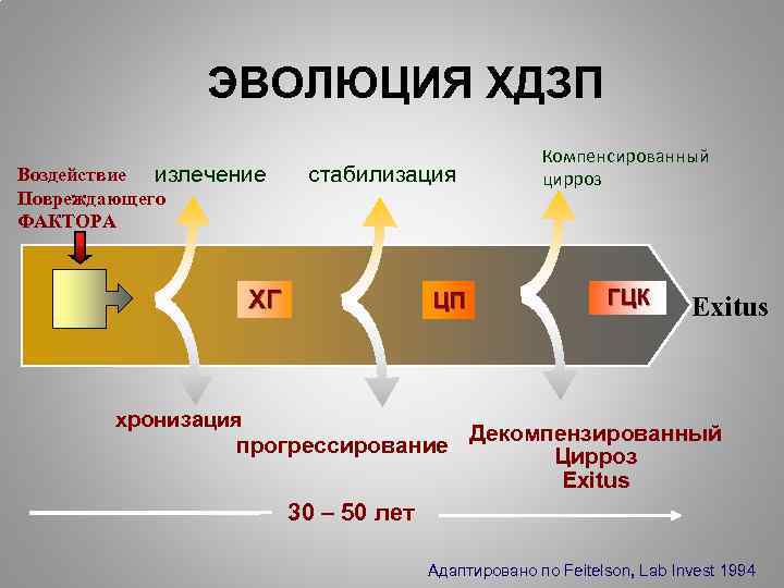 ЭВОЛЮЦИЯ ХДЗП Воздействие излечение Повреждающего ФАКТОРА стабилизация ХГ ЦП хронизация прогрессирование Компенсированный цирроз ГЦК