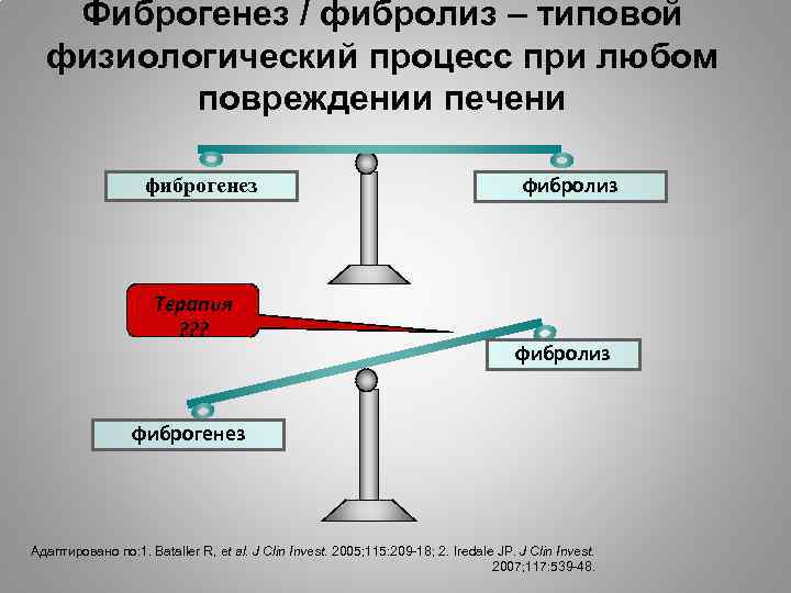 Фиброгенез / фибролиз – типовой физиологический процесс при любом повреждении печени фиброгенез Терапия ?