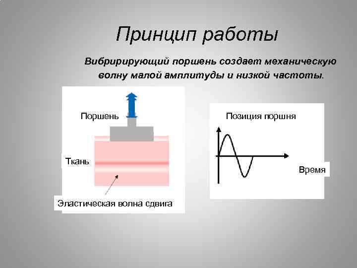 Принцип работы Вибририрующий поршень создает механическую волну малой амплитуды и низкой частоты. Поршень Ткань