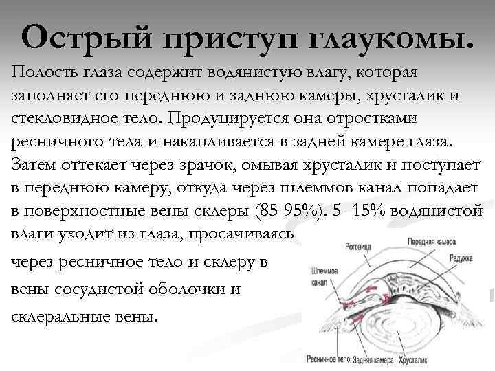 Острый приступ глаукомы. Полость глаза содержит водянистую влагу, которая заполняет его переднюю и заднюю