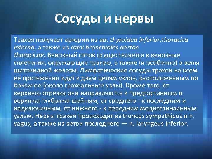Сосуды и нервы Трахея получает артерии из аа. thyroidea inferior, thoracica interna, a также
