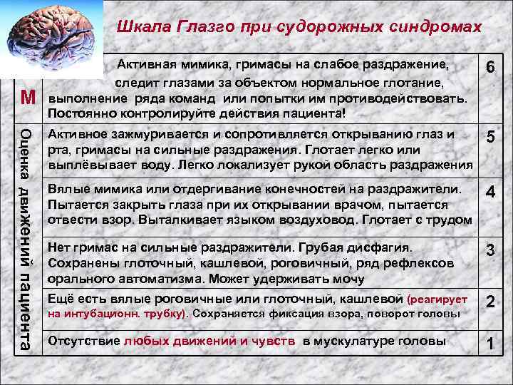 Шкала Глазго при судорожных синдромах Активная мимика, гримасы на слабое раздражение, M следит глазами