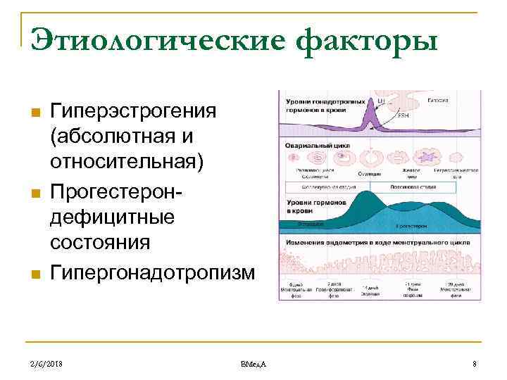 Этиологические факторы n n n Гиперэстрогения (абсолютная и относительная) Прогестерондефицитные состояния Гипергонадотропизм 2/6/2018 ВМед.