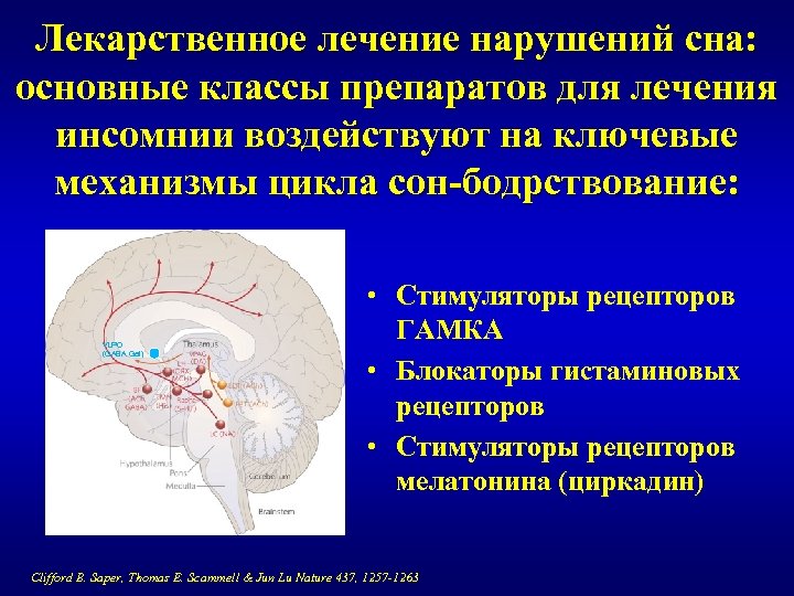 Лекарственное лечение нарушений сна: основные классы препаратов для лечения инсомнии воздействуют на ключевые механизмы