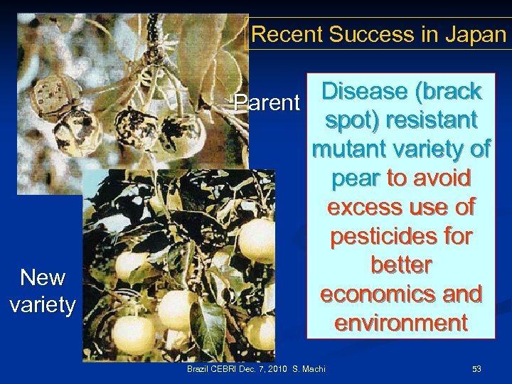 Recent Success in Japan New variety Disease (brack Parent spot) resistant mutant variety of