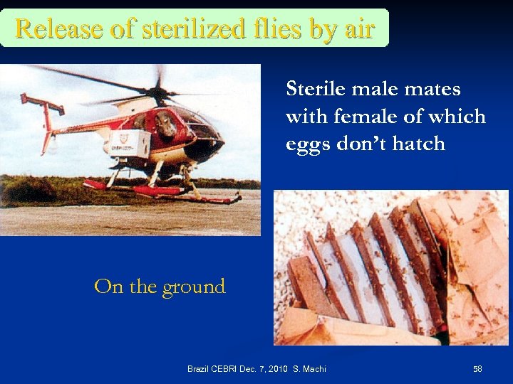 Release of sterilized flies by air Sterile mates with female of which eggs don’t