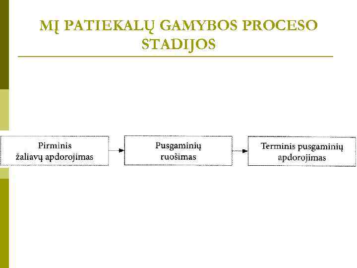 MĮ PATIEKALŲ GAMYBOS PROCESO STADIJOS 