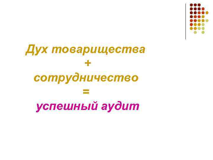 Дух товарищества + сотрудничество = успешный аудит 