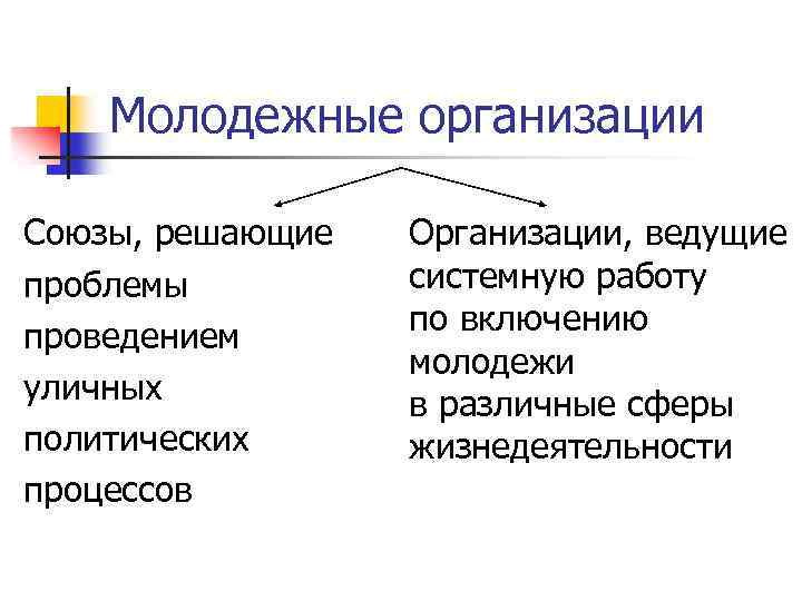 Молодежные организации Союзы, решающие проблемы проведением уличных политических процессов Организации, ведущие системную работу по