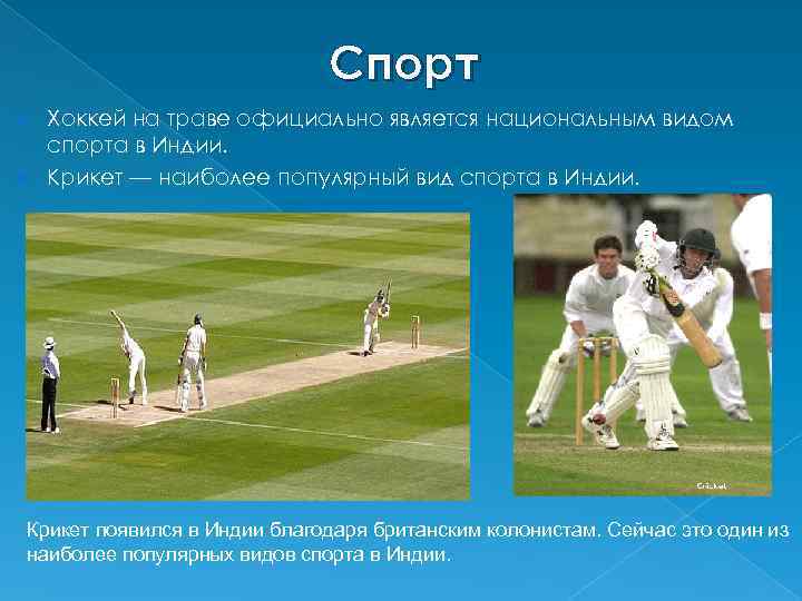Спорт Хоккей на траве официально является национальным видом спорта в Индии. Крикет — наиболее