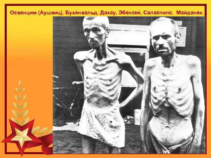 Освенцим (Аушвиц), Бухенвальд, Дахау, Эбензей, Саласпилс, Майданек… 