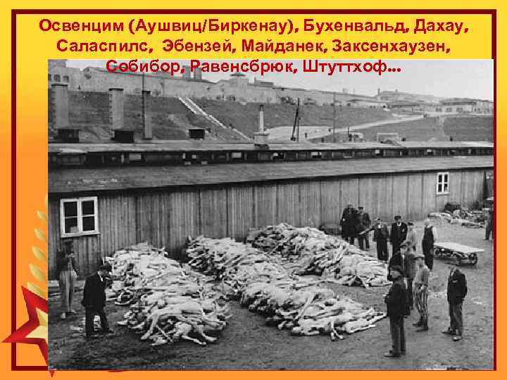 Освенцим (Аушвиц/Биркенау), Бухенвальд, Дахау, Саласпилс, Эбензей, Майданек, Заксенхаузен, Собибор, Равенсбрюк, Штуттхоф… 