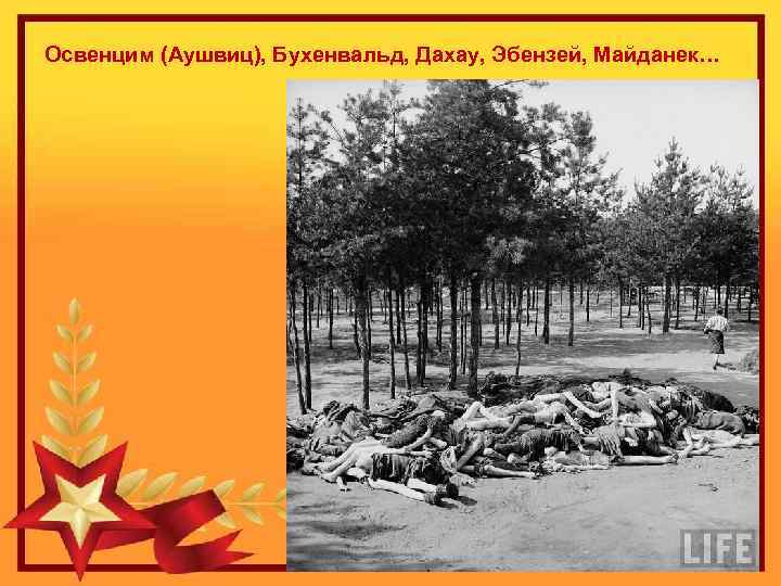 Освенцим (Аушвиц), Бухенвальд, Дахау, Эбензей, Майданек… 