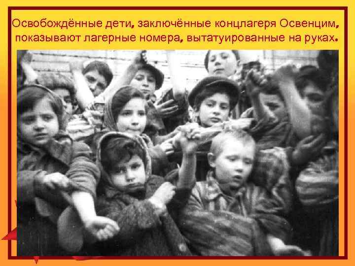 Освобождённые дети, заключённые концлагеря Освенцим, показывают лагерные номера, вытатуированные на руках. 