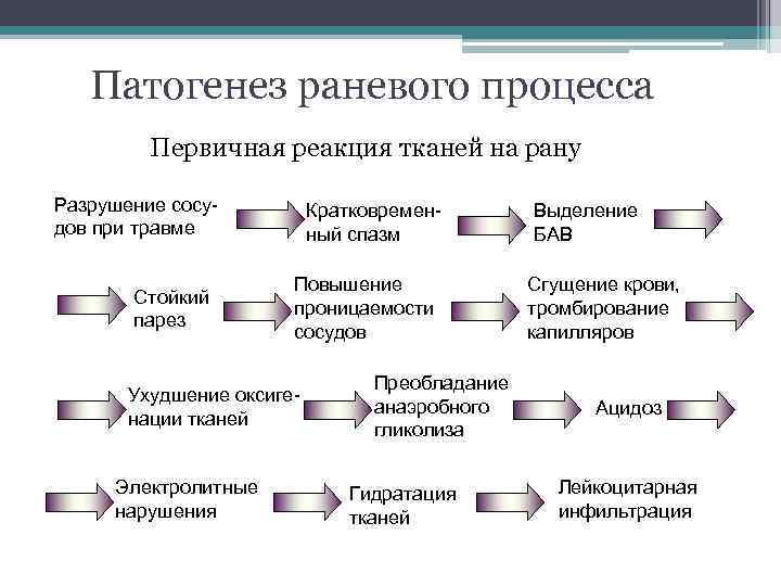 Патогенез раневого процесса Первичная реакция тканей на рану Разрушение сосудов при травме Стойкий парез