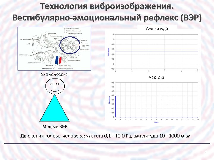Технология виброизображения. Вестибулярно-эмоциональный рефлекс (ВЭР) Амплитуда Ухо человека Частота Модель ВЭР Движения головы человека: