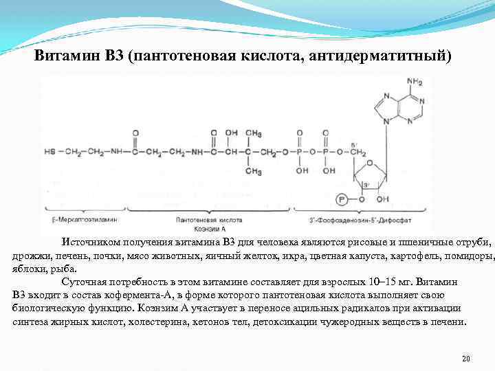 Витамин В 3 (пантотеновая кислота, антидерматитный) Источником получения витамина В 3 для человека являются
