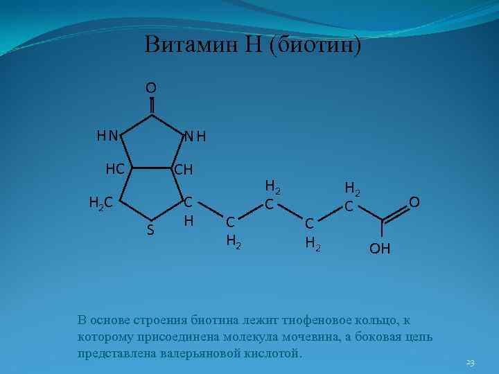 Витамин Н (биотин) О НN NН НС СН Н 2 С S С Н