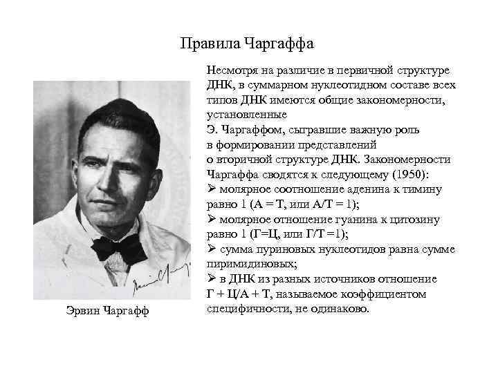 Правила Чаргаффа Эрвин Чаргафф Несмотря на различие в первичной структуре ДНК, в суммарном нуклеотидном