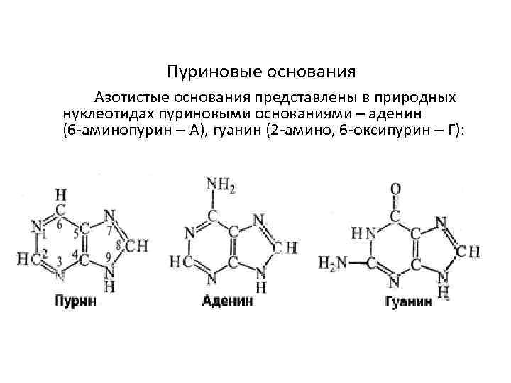 Все представленные на схеме вещества кроме двух имеют в своем составе азотистое основание аденин
