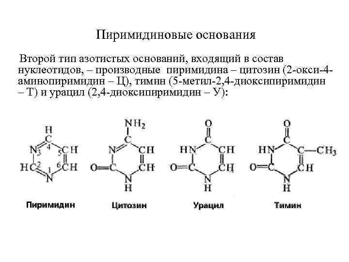 Схема строения нуклеотида общая формула