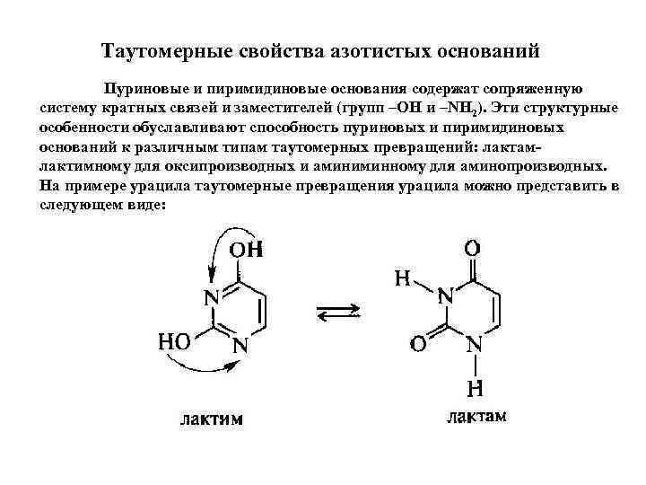 Таутомерные свойства азотистых оснований Пуриновые и пиримидиновые основания содержат сопряженную систему кратных связей и