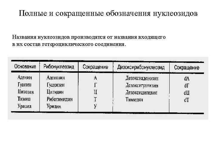 Полные и сокращенные обозначения нуклеозидов Названия нуклеозидов производятся от названия входящего в их состав