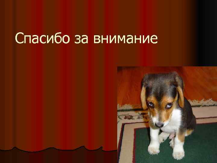 Спасибо за внимание 