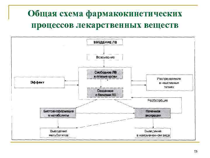 Общая схема фармакокинетических процессов лекарственных веществ 15 