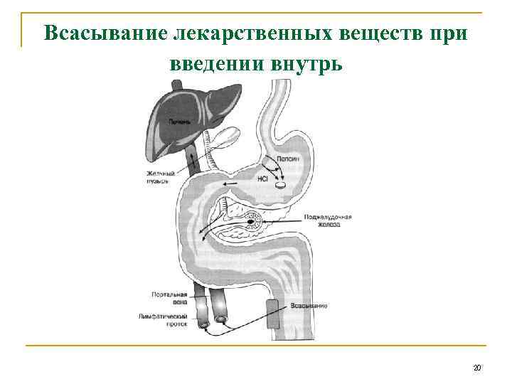 Всасывания веществ. Механизмы всасывания лекарственных средств схема. Механизм всасывания схема фармакология. Фармакокинетика лс механизмы всасывания. Механизмы всасывания лекарственных веществ из кишечника.