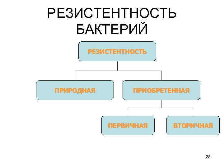 РЕЗИСТЕНТНОСТЬ БАКТЕРИЙ РЕЗИСТЕНТНОСТЬ ПРИРОДНАЯ ПРИОБРЕТЕННАЯ ПЕРВИЧНАЯ ВТОРИЧНАЯ 28 