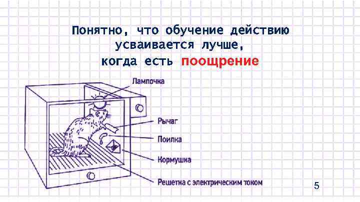 Понятно, что обучение действию усваивается лучше, когда есть поощрение 5 