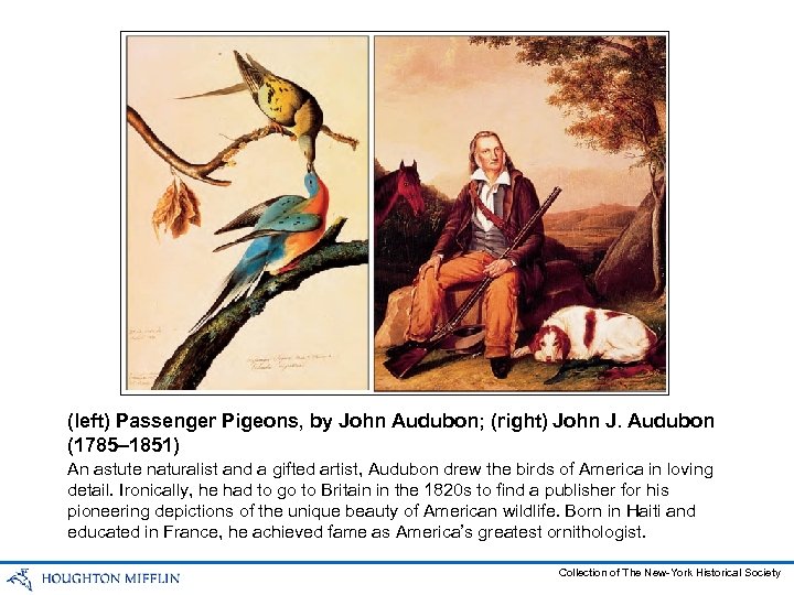 (left) Passenger Pigeons, by John Audubon; (right) John J. Audubon (1785– 1851) An astute