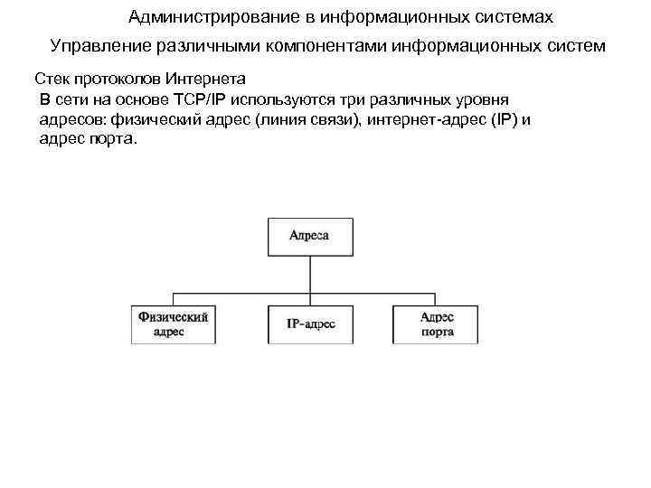 Администрирование в информационных системах Управление различными компонентами информационных систем Стек протоколов Интернета В сети