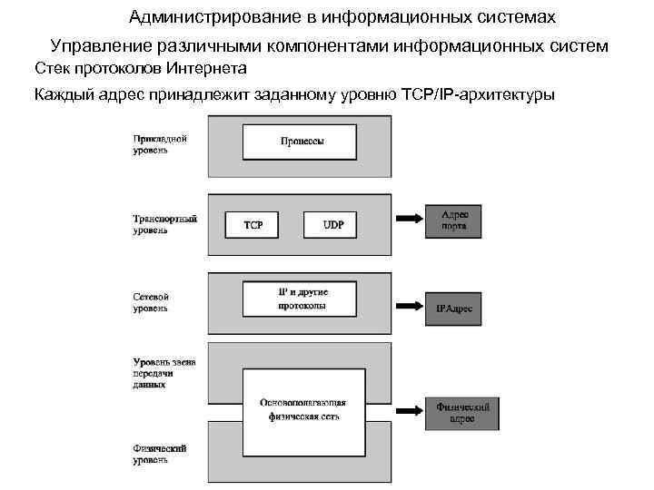 Администрирование в информационных системах Управление различными компонентами информационных систем Стек протоколов Интернета Каждый адрес