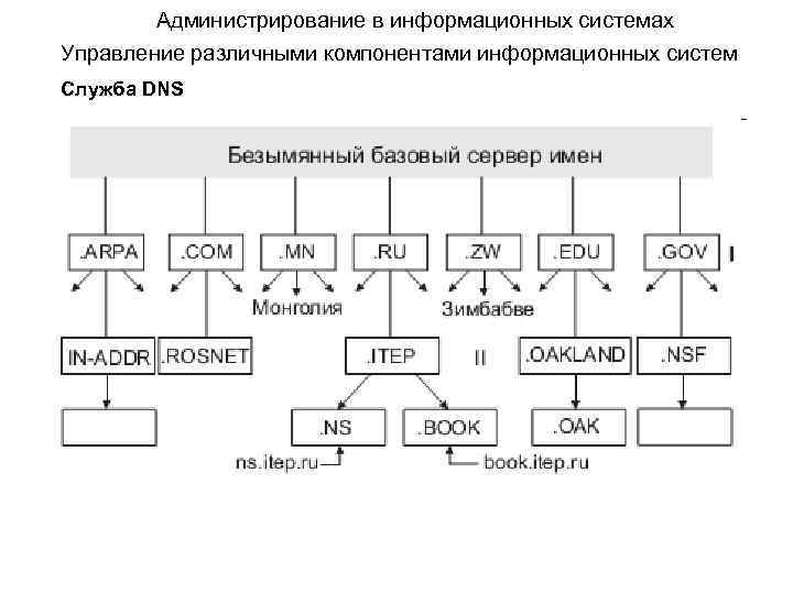 Администрирование в информационных системах Управление различными компонентами информационных систем Служба DNS 