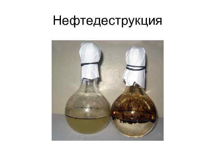 Нефтедеструкция 