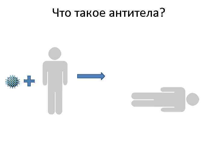 Что такое антитела? 